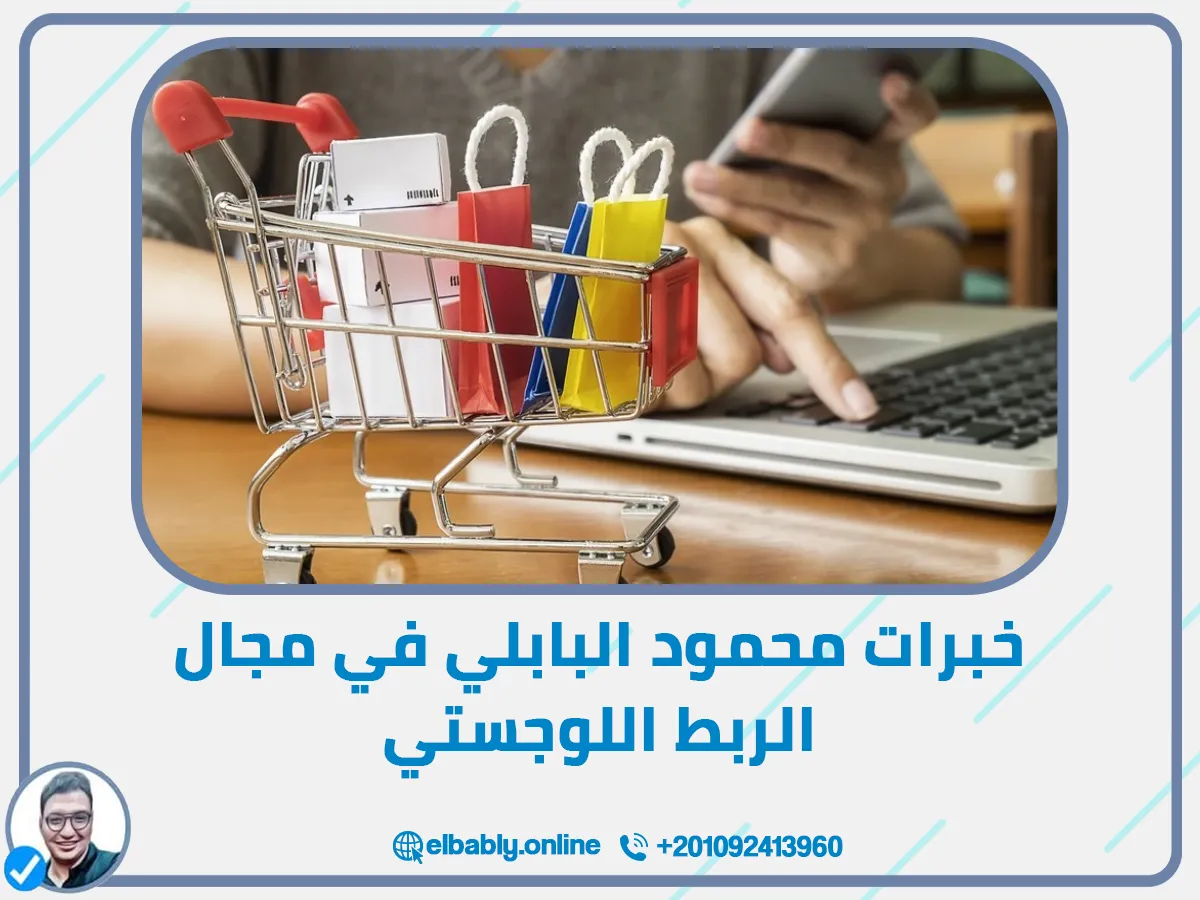 💼 خبرات محمود البابلي في مجال الربط اللوجستي
